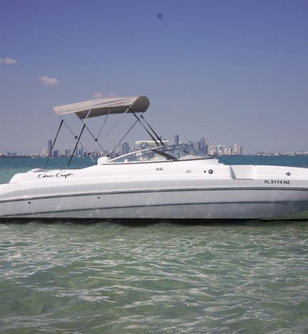 Chris Craft 260